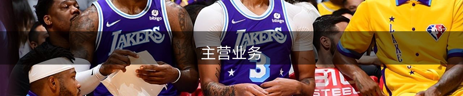 主营业务