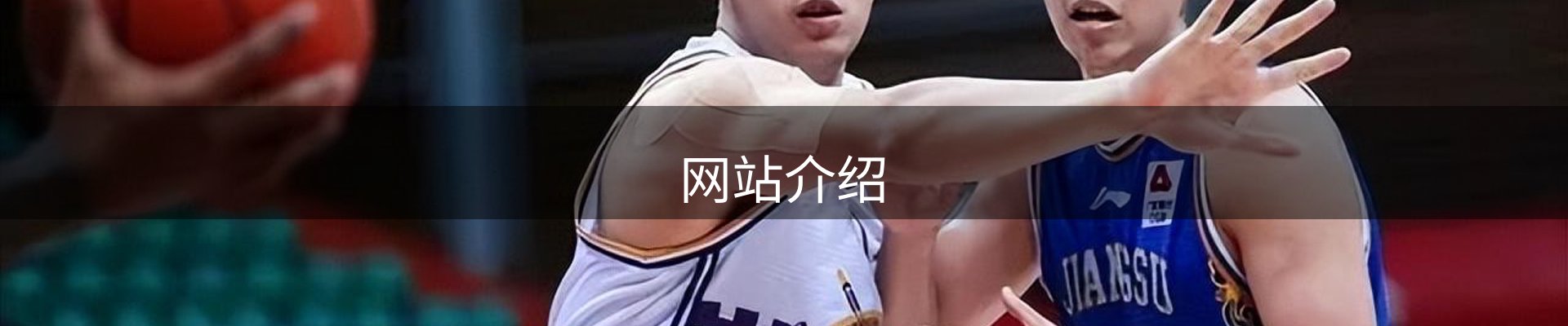 网站介绍